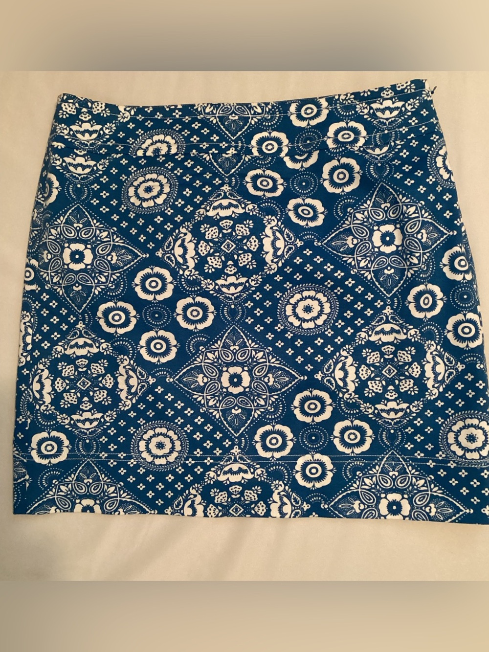 Talbots Petites Ladies Blue Floral Bandana Style Print Skirt Size 12P